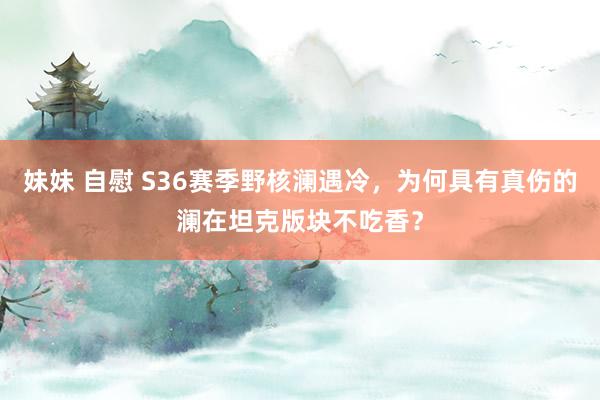 妹妹 自慰 S36赛季野核澜遇冷，为何具有真伤的澜在坦克版块不吃香？