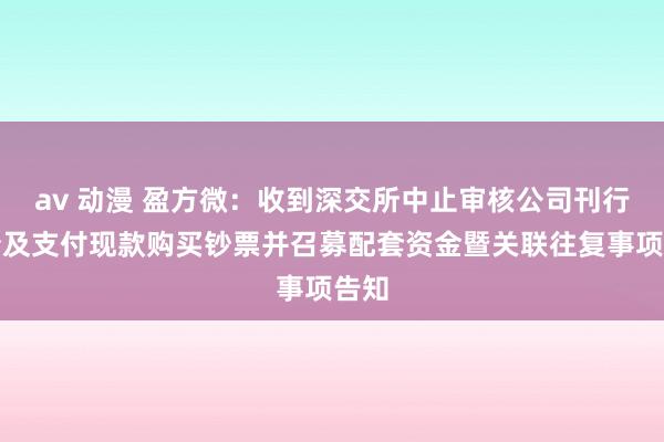 av 动漫 盈方微：收到深交所中止审核公司刊行股份及支付现款购买钞票并召募配套资金暨关联往复事项告知