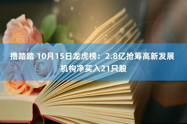 撸踏踏 10月15日龙虎榜:2.8亿抢筹高新发展 机构净买入21只股