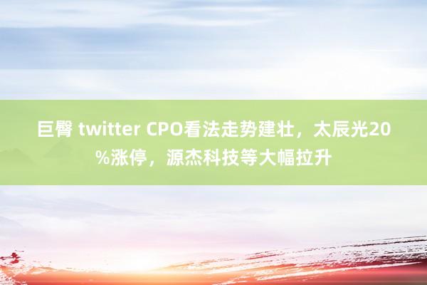 巨臀 twitter CPO看法走势建壮，太辰光20%涨停，源杰科技等大幅拉升