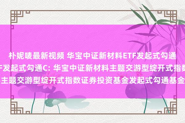 朴妮唛最新视频 华宝中证新材料ETF发起式勾通A,华宝中证新材料ETF发起式勾通C: 华宝中证新材料主题交游型绽开式指数证券投资基金发起式勾通基金算帐叙述