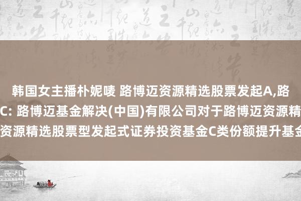韩国女主播朴妮唛 路博迈资源精选股票发起A，路博迈资源精选股票发起C: 路博迈基金解决(中国)有限公司对于路博迈资源精选股票型发起式证券投资基金C类份额提升基金份额净值精度的公告