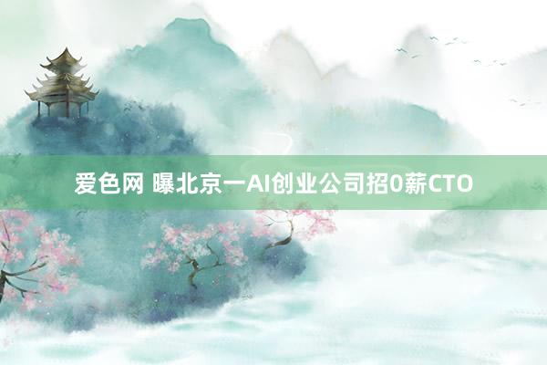 爱色网 曝北京一AI创业公司招0薪CTO