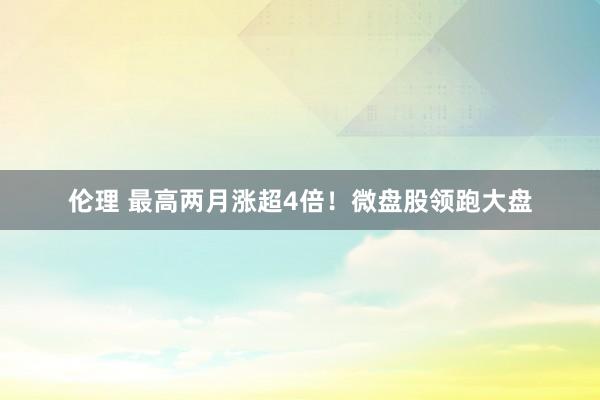 伦理 最高两月涨超4倍！微盘股领跑大盘