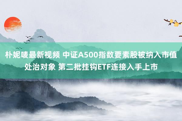 朴妮唛最新视频 中证A500指数要素股被纳入市值处治对象 第二批挂钩ETF连接入手上市