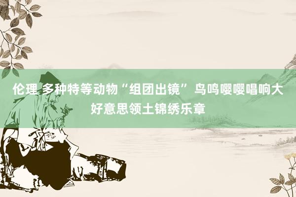 伦理 多种特等动物“组团出镜” 鸟鸣嘤嘤唱响大好意思领土锦绣乐章