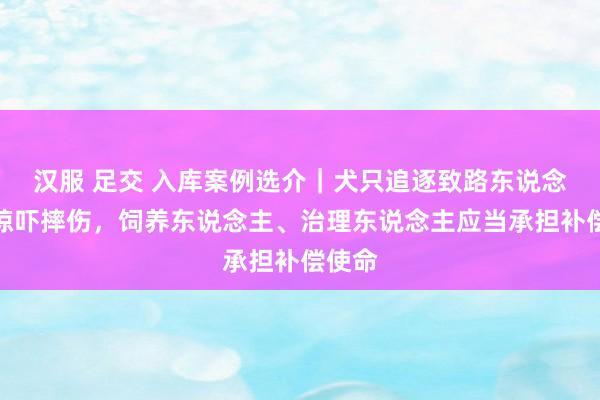 汉服 足交 入库案例选介｜犬只追逐致路东说念主受惊吓摔伤，饲养东说念主、治理东说念主应当承担补偿使命
