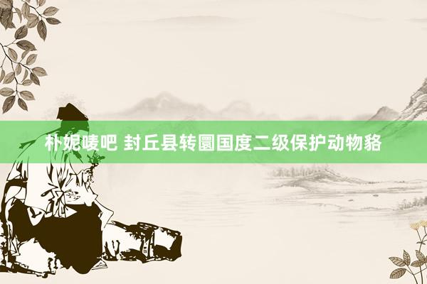 朴妮唛吧 封丘县转圜国度二级保护动物貉