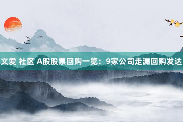 文爱 社区 A股股票回购一览：9家公司走漏回购发达