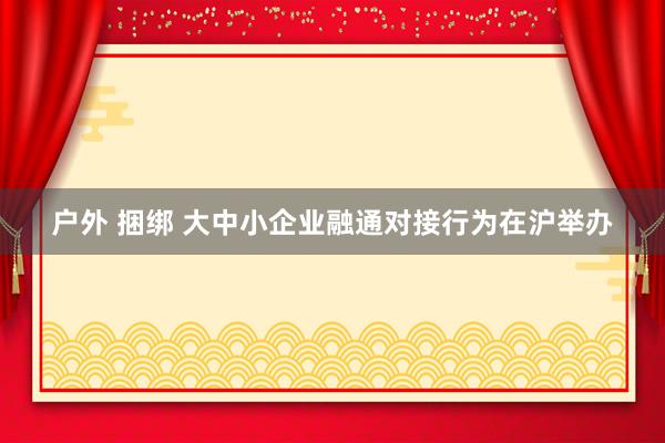 户外 捆绑 大中小企业融通对接行为在沪举办