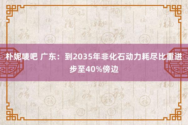 朴妮唛吧 广东：到2035年非化石动力耗尽比重进步至40%傍边