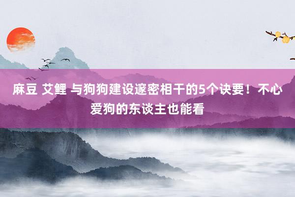 麻豆 艾鲤 与狗狗建设邃密相干的5个诀要！不心爱狗的东谈主也能看