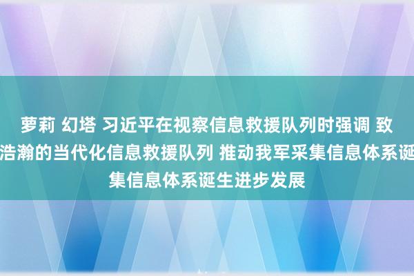萝莉 幻塔 习近平在视察信息救援队列时强调 致力诞生一支浩瀚的当代化信息救援队列 推动我军采集信息体系诞生进步发展