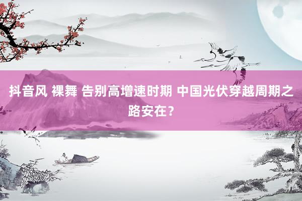 抖音风 裸舞 告别高增速时期 中国光伏穿越周期之路安在？