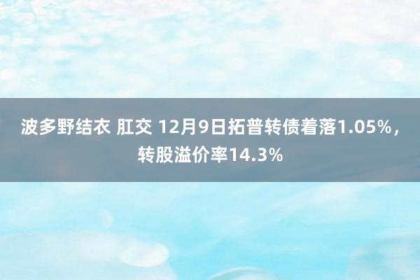 波多野结衣 肛交 12月9日拓普转债着落1.05%，转股溢价率14.3%