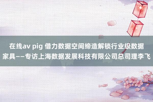 在线av pig 借力数据空间缔造解锁行业级数据家具——专访上海数据发展科技有限公司总司理李飞