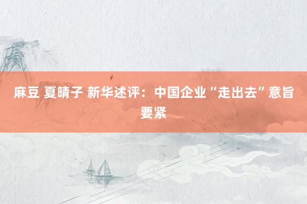 麻豆 夏晴子 新华述评：中国企业“走出去”意旨要紧