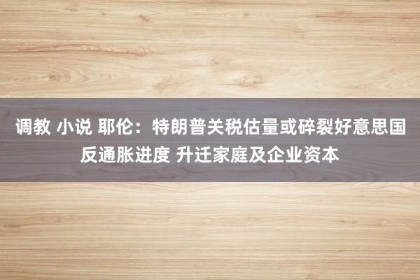 调教 小说 耶伦：特朗普关税估量或碎裂好意思国反通胀进度 升迁家庭及企业资本