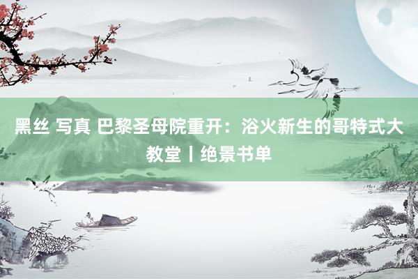黑丝 写真 巴黎圣母院重开：浴火新生的哥特式大教堂丨绝景书单