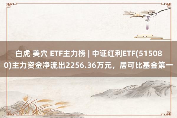 白虎 美穴 ETF主力榜 | 中证红利ETF(515080)主力资金净流出2256.36万元，居可比基金第一