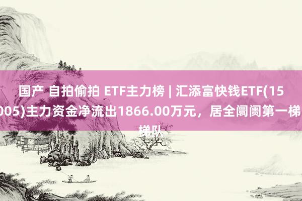 国产 自拍偷拍 ETF主力榜 | 汇添富快钱ETF(159005)主力资金净流出1866.00万元，居全阛阓第一梯队