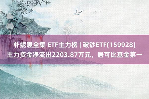朴妮唛全集 ETF主力榜 | 破钞ETF(159928)主力资金净流出2203.87万元，居可比基金第一