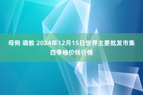 母狗 调教 2024年12月15日世界主要批发市集四季柚价钱行情