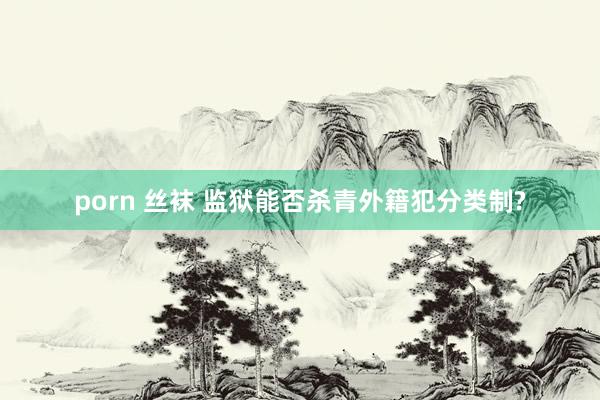 porn 丝袜 监狱能否杀青外籍犯分类制?