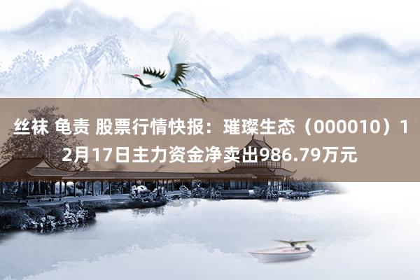 丝袜 龟责 股票行情快报：璀璨生态（000010）12月17日主力资金净卖出986.79万元