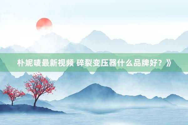 朴妮唛最新视频 碎裂变压器什么品牌好？》