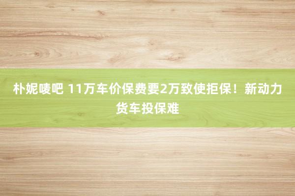 朴妮唛吧 11万车价保费要2万致使拒保！新动力货车投保难