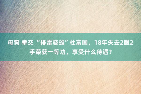 母狗 拳交 “排雷骁雄”杜富国，18年失去2眼2手荣获一等功，享受什么待遇？