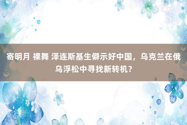 寄明月 裸舞 泽连斯基生僻示好中国，乌克兰在俄乌浮松中寻找新转机？