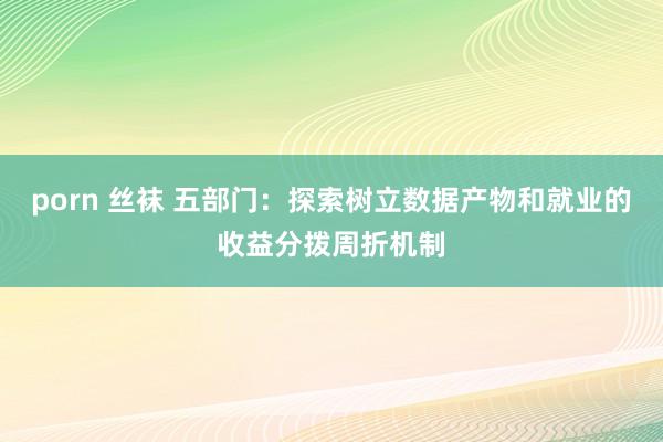 porn 丝袜 五部门：探索树立数据产物和就业的收益分拨周折机制
