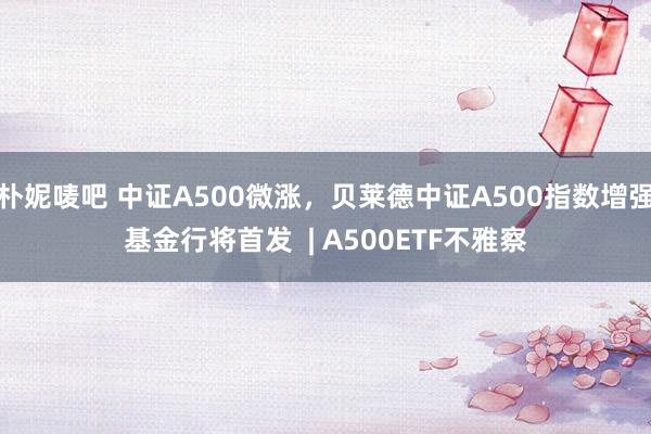 朴妮唛吧 中证A500微涨，贝莱德中证A500指数增强基金行将首发  | A500ETF不雅察
