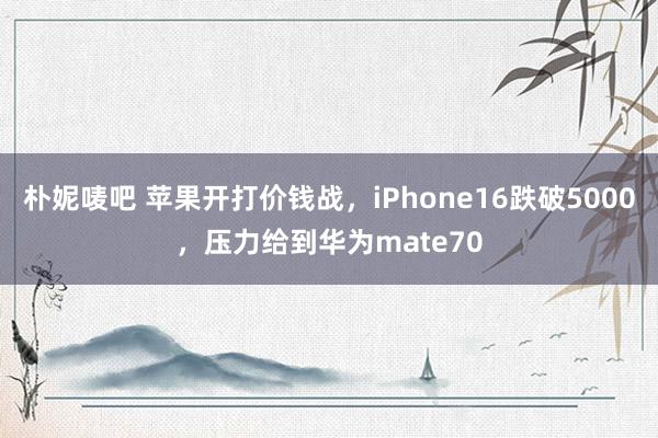 朴妮唛吧 苹果开打价钱战，iPhone16跌破5000，压力给到华为mate70