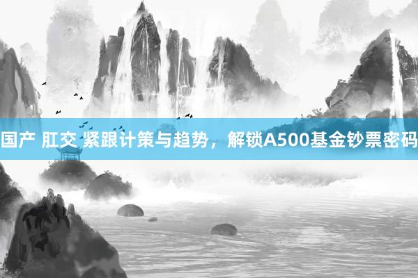 国产 肛交 紧跟计策与趋势，解锁A500基金钞票密码