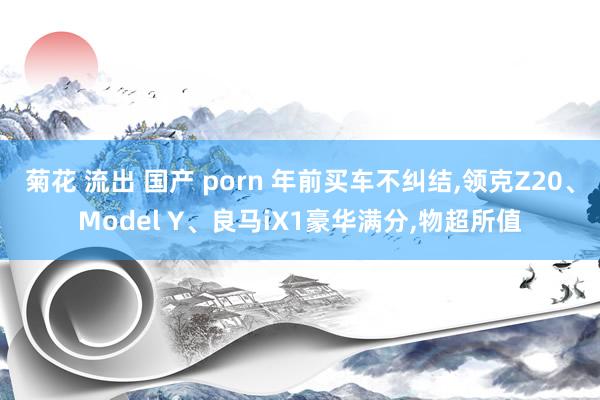 菊花 流出 国产 porn 年前买车不纠结，领克Z20、Model Y、良马iX1豪华满分，物超所值