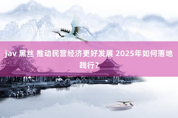 jav 黑丝 推动民营经济更好发展 2025年如何落地践行？