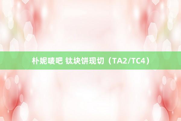 朴妮唛吧 钛块饼现切（TA2/TC4）