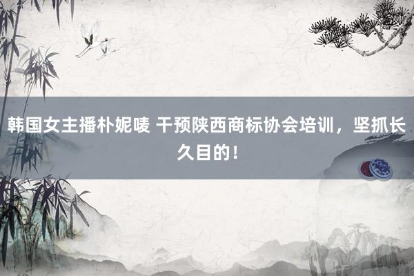 韩国女主播朴妮唛 干预陕西商标协会培训，坚抓长久目的！
