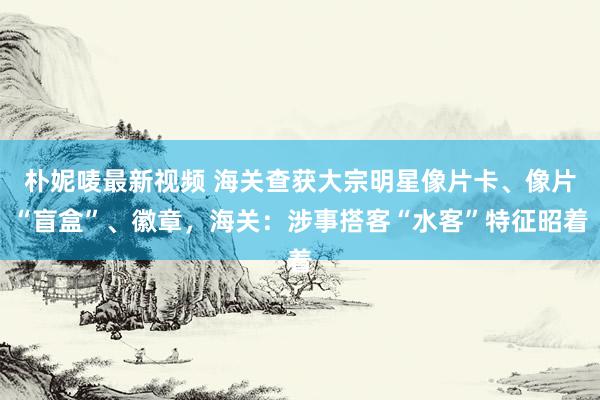 朴妮唛最新视频 海关查获大宗明星像片卡、像片“盲盒”、徽章，海关：涉事搭客“水客”特征昭着