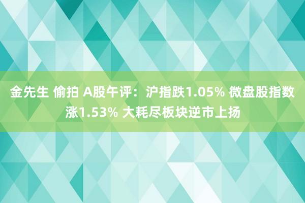 金先生 偷拍 A股午评：沪指跌1.05% 微盘股指数涨1.53% 大耗尽板块逆市上扬