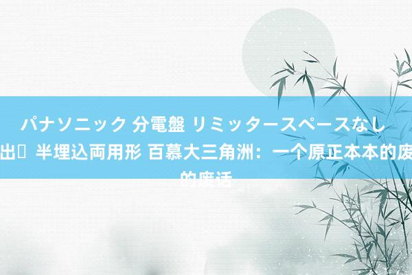 パナソニック 分電盤 リミッタースペースなし 露出・半埋込両用形 百慕大三角洲：一个原正本本的废话