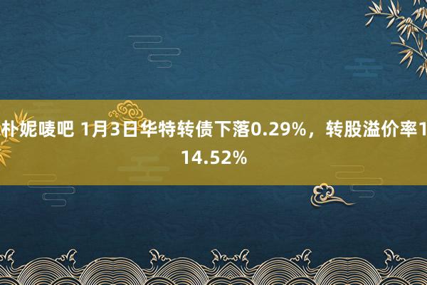 朴妮唛吧 1月3日华特转债下落0.29%，转股溢价率114.52%