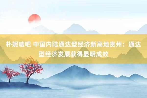 朴妮唛吧 中国内陆通达型经济新高地贵州：通达型经济发展获得显明成效