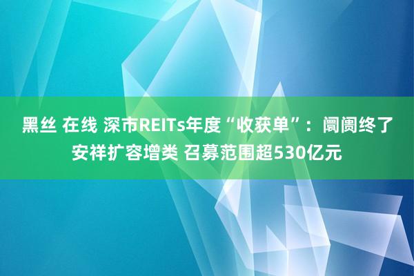 黑丝 在线 深市REITs年度“收获单”：阛阓终了安祥扩容增类 召募范围超530亿元