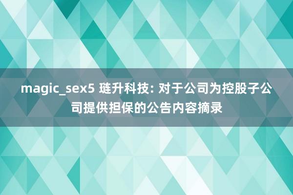 magic_sex5 琏升科技: 对于公司为控股子公司提供担保的公告内容摘录