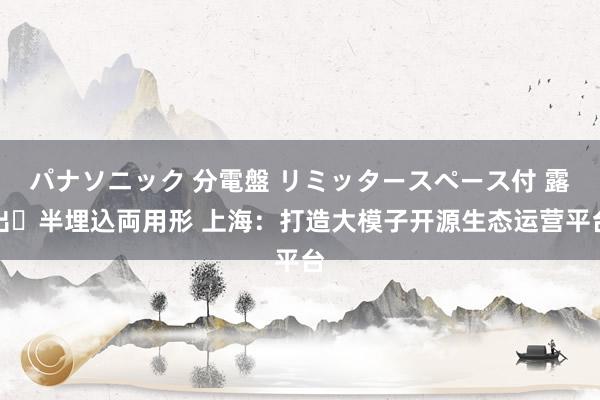 パナソニック 分電盤 リミッタースペース付 露出・半埋込両用形 上海：打造大模子开源生态运营平台