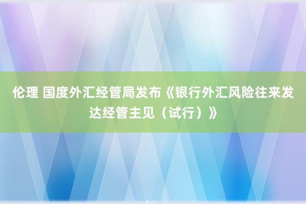 伦理 国度外汇经管局发布《银行外汇风险往来发达经管主见（试行）》